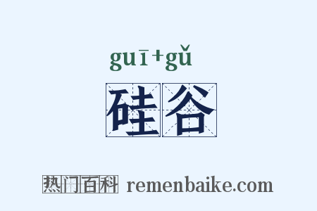 硅谷是什么意思的图片